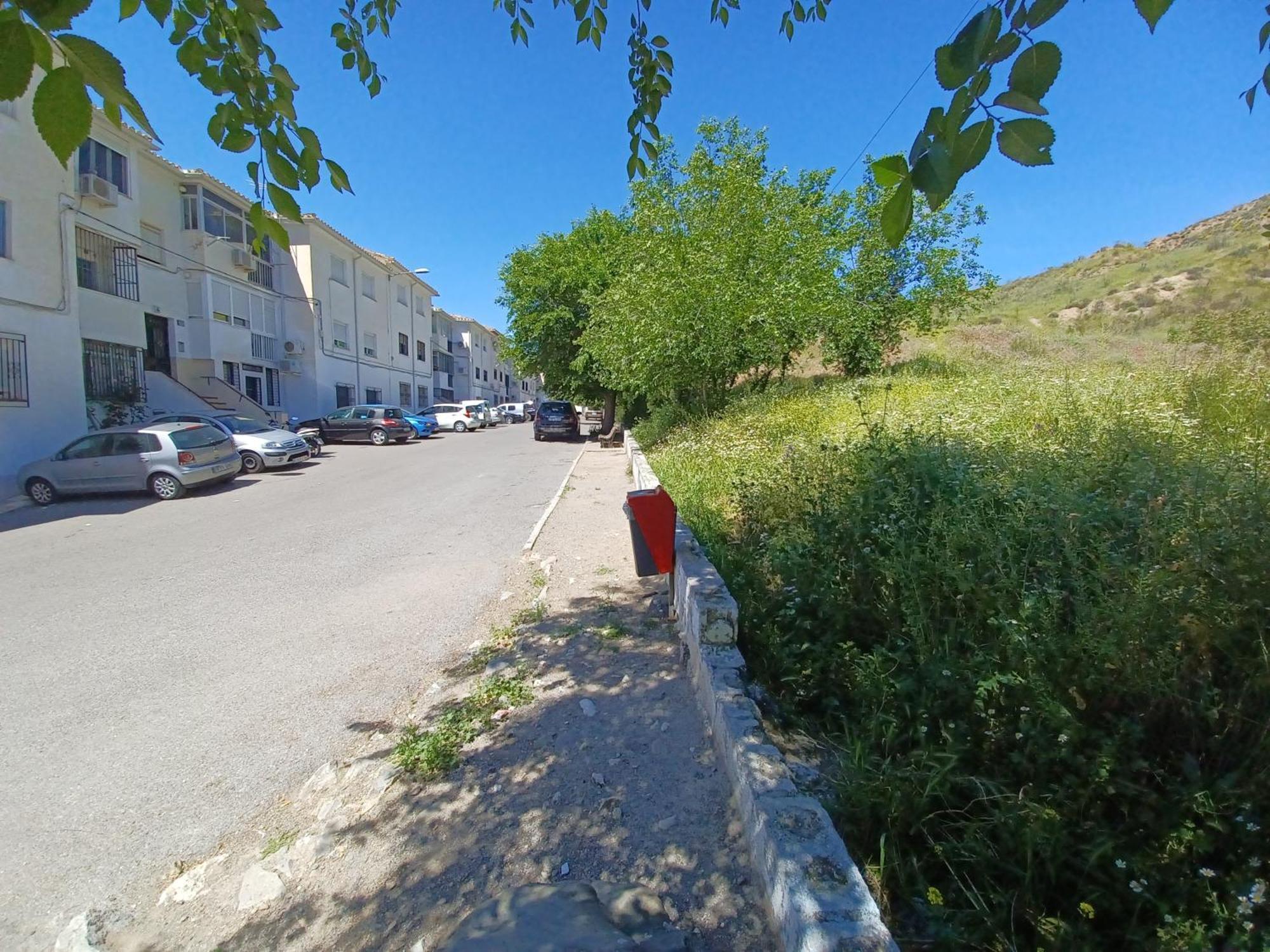 Apartamento Arrufat&Osorio Granada Exteriör bild